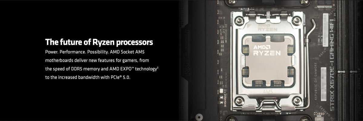 The Future of Ryzen Processor